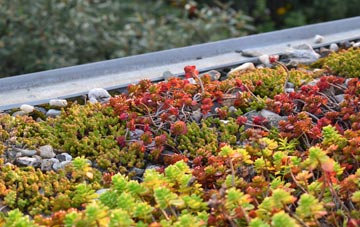 the cost of Sale Green green roof installation